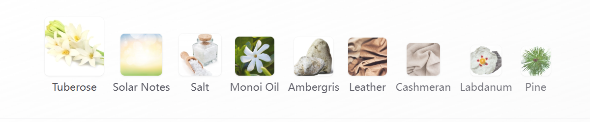 Parfum Rabanne 100ML