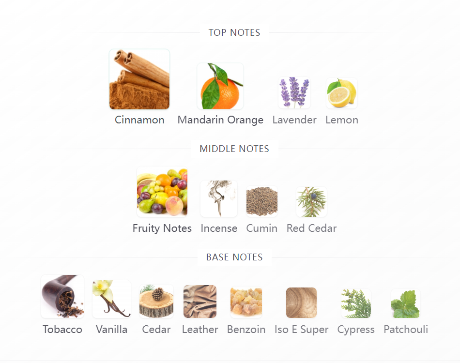 Wanted by Night 100ML