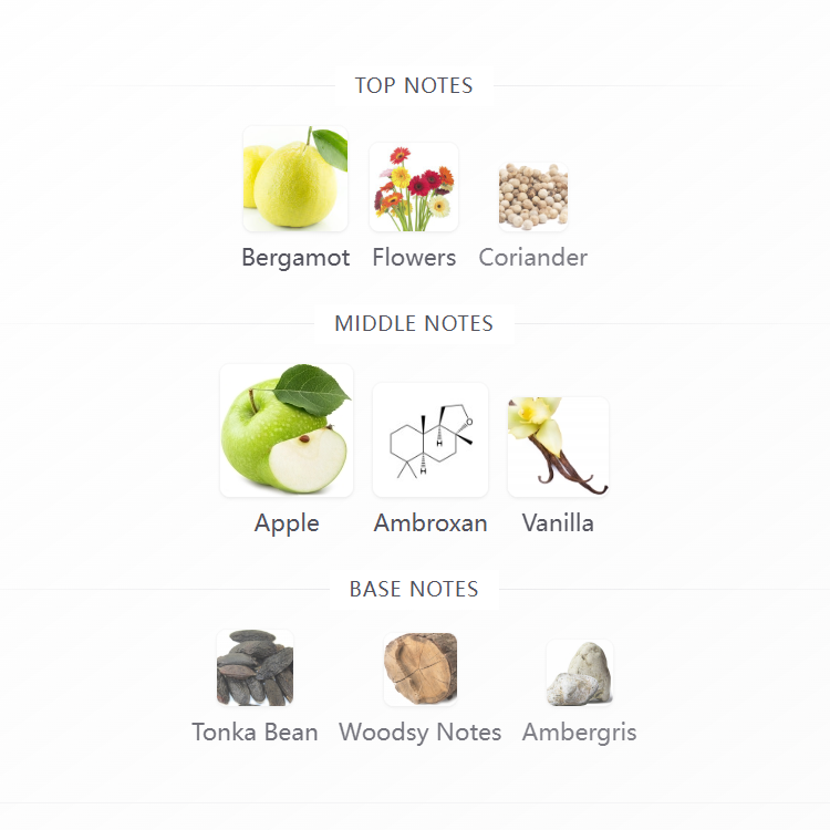 Lafayette Street 100ML