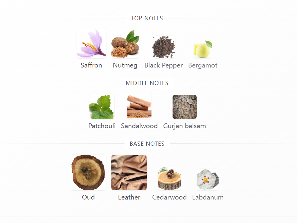 Golden Oud Rabanne 100ML