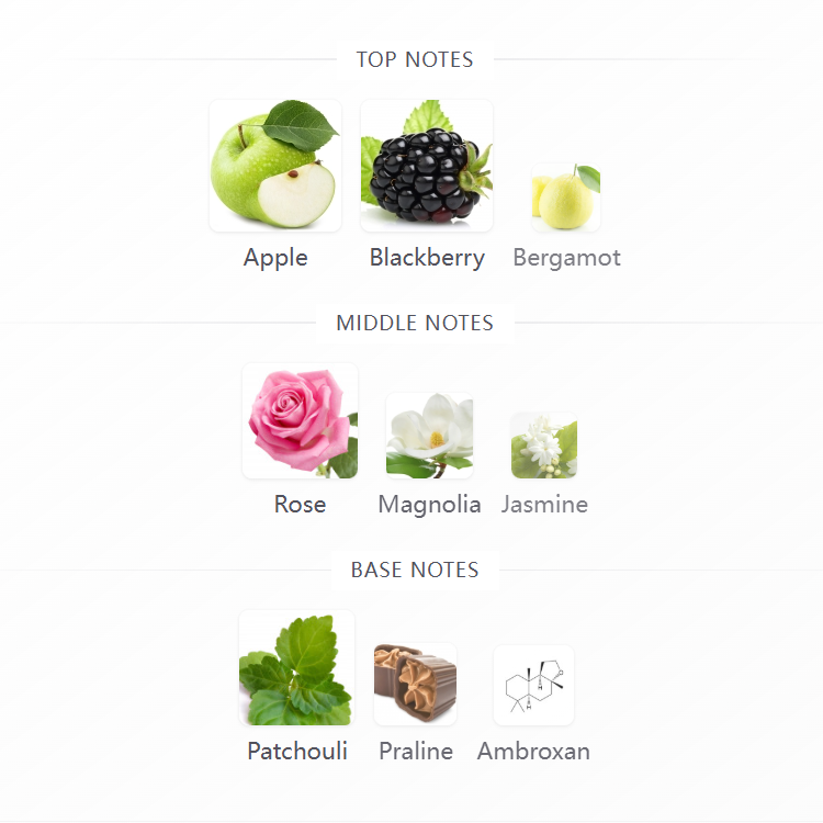 Madison Avenue 100ML