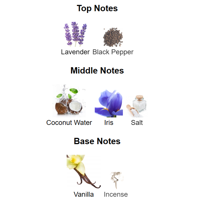 Asad Zanzibar Perfumes 100ML