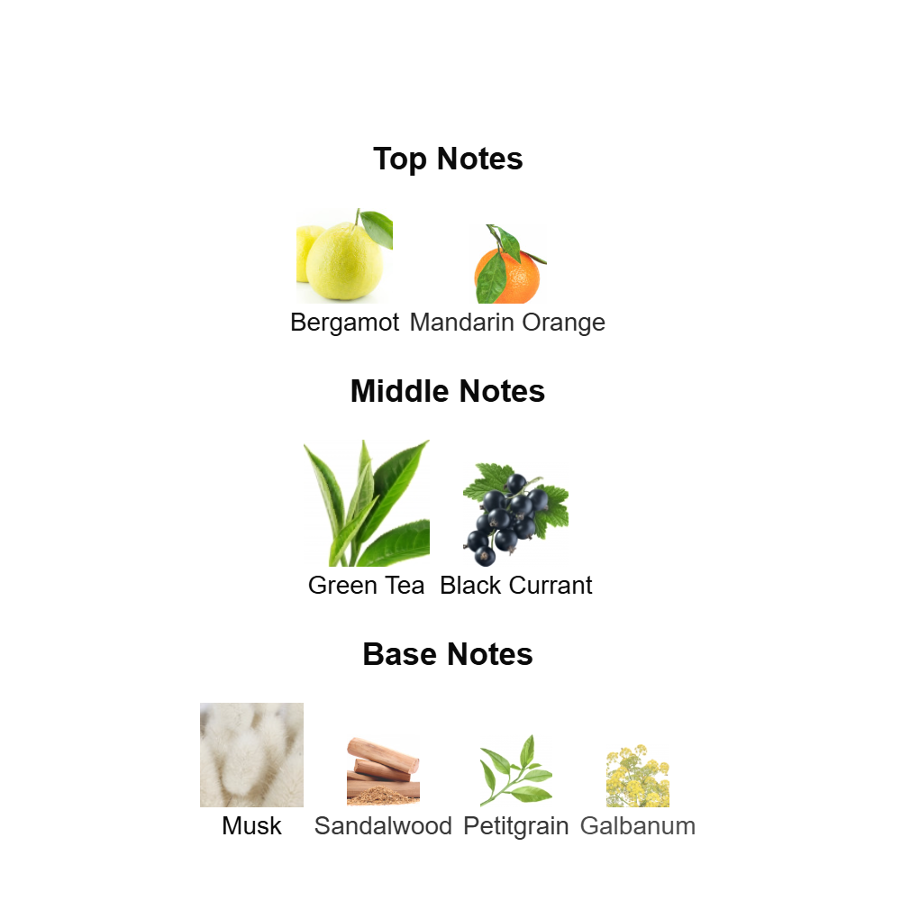 Silver Mountain Water 100ML